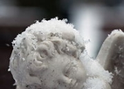 阿森纳前途光明！浓眉哥新星刷新纪录表现突出赛场气氛高涨